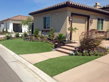 Artificial Grass Photos: Fake Pet Grass Santa Clarita California Landscape